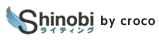 Shinobiライティング